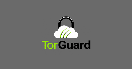 We share with you TorGuardVPN config, which we have done for pentest tests in the Openbullet program, for free. Follow our site for more free configs.